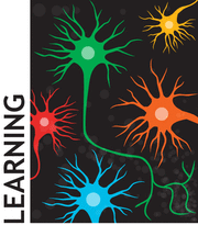 Cartoon labeled Learning and showing five neurons in five different colors