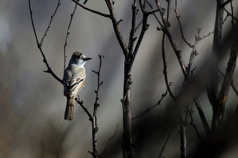 Nature World News